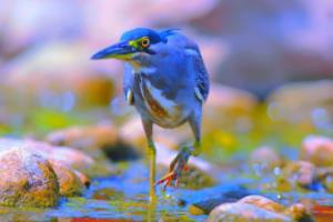 巴西球队表现强劲！力克强敌赢得胜利