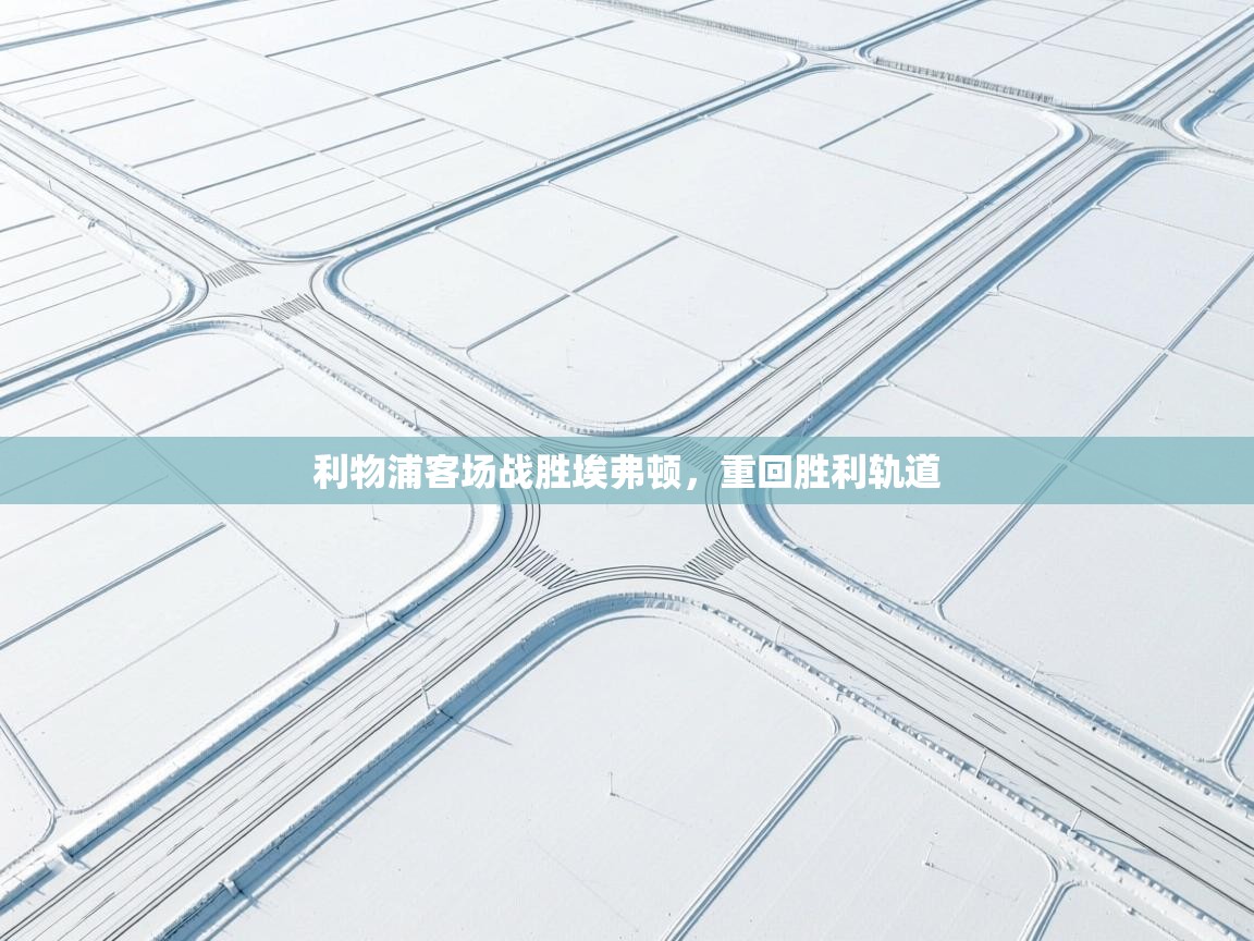 利物浦客场战胜埃弗顿,重回胜利轨道 第1张