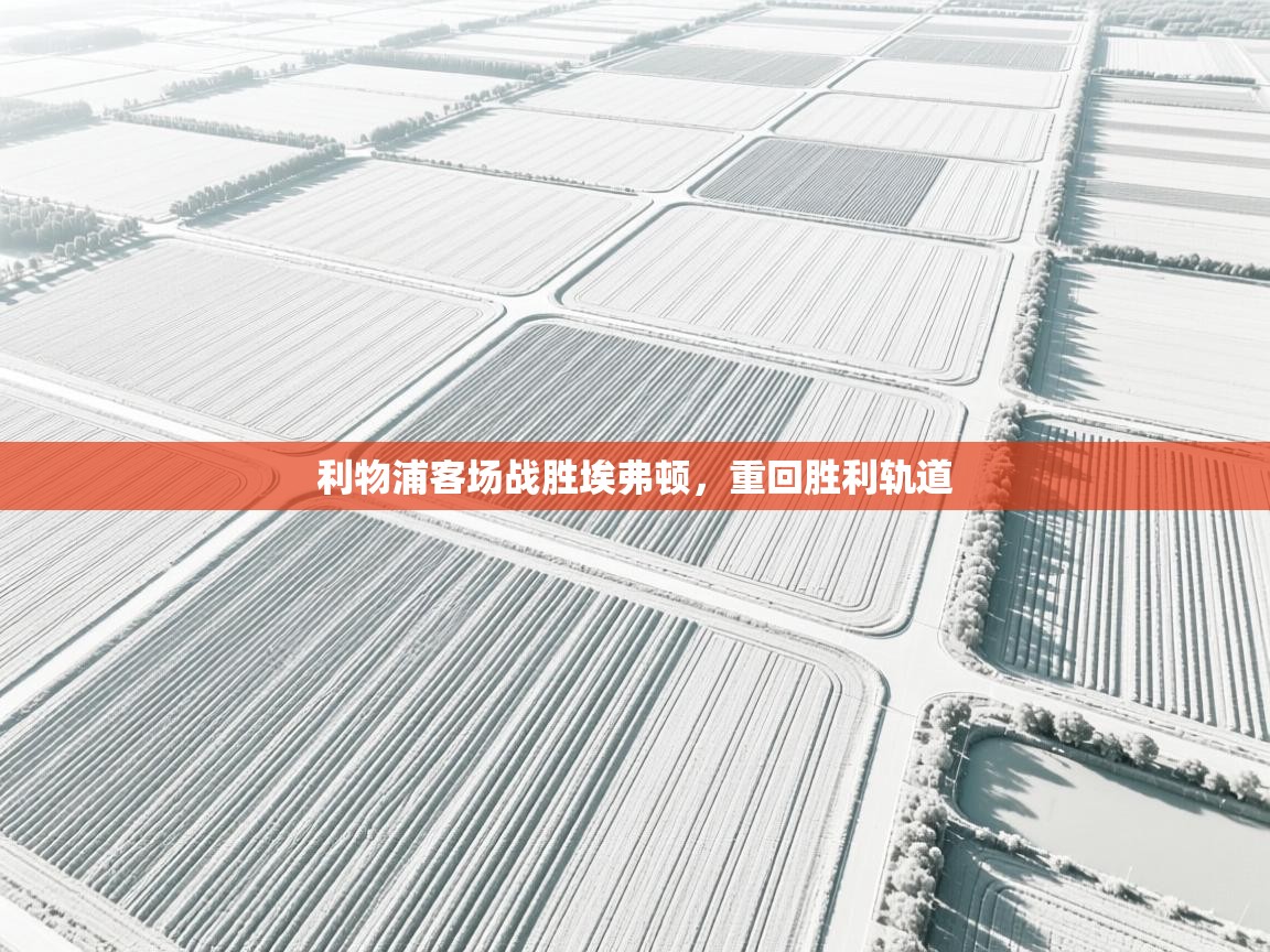 利物浦客场战胜埃弗顿,重回胜利轨道 第2张